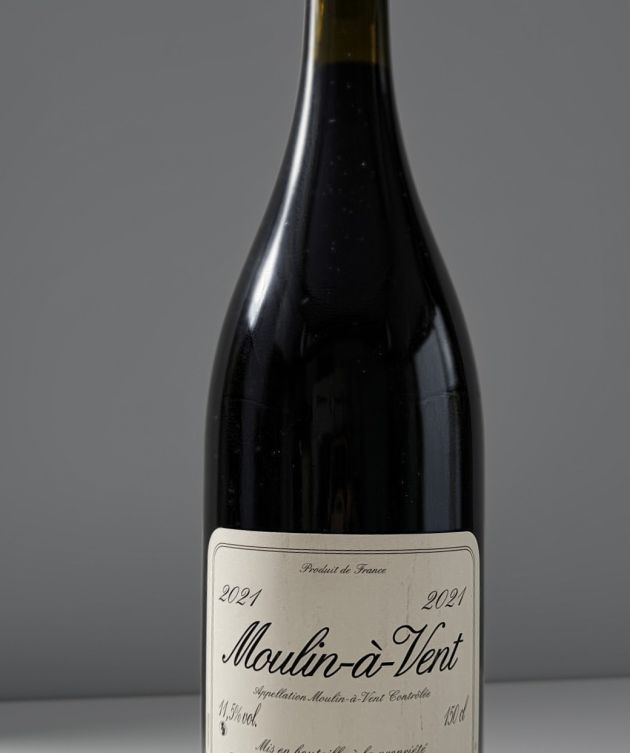 Magnum Moulin-A-Vent 2021 Domaine Yvon METRAS